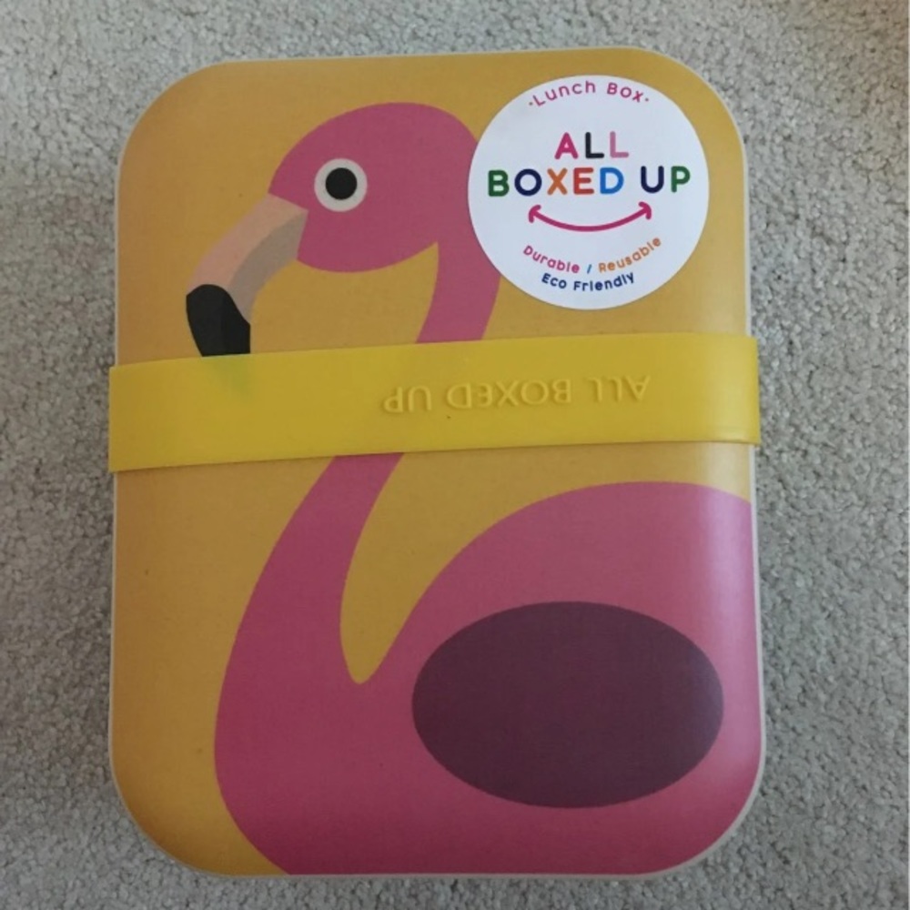 Eco friendly lunch box